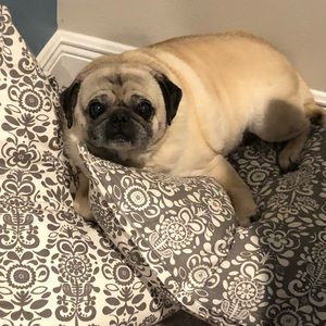 Meet your Posher, Jeff